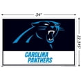 thumbnail image 3 of NFL Carolina Panthers - Logo 21 Wall Poster with Push Pins, 22.375" x 34", 3 of 6