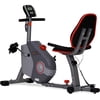 Ignite 2710 Recumbent Exercise Bike
