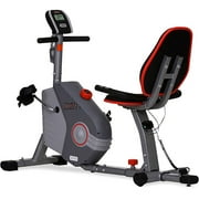 Ignite 2710 Recumbent Exercise Bike