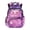 Purple Cherry Flower Axolotl, variant on FKELYI Kids Backpack 17 Inch Spacious Schoolbag with Multi-Pockets for Elementary Student Pink Strawberry Capybara Print School Bookbag Casual Daypack for Girls Knapsack