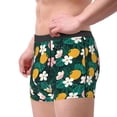 thumbnail image 2 of Honeii Tropical Fruit Men's Underwear Boxer Briefs Pack, ComfortSoft Boxer Brief for Men, Moisture-Wicking Breathable-Medium, 2 of 5