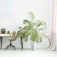 thumbnail image 6 of Bloem Finley 20" Tall Square Tapered Resin Planter, White, 6 of 6