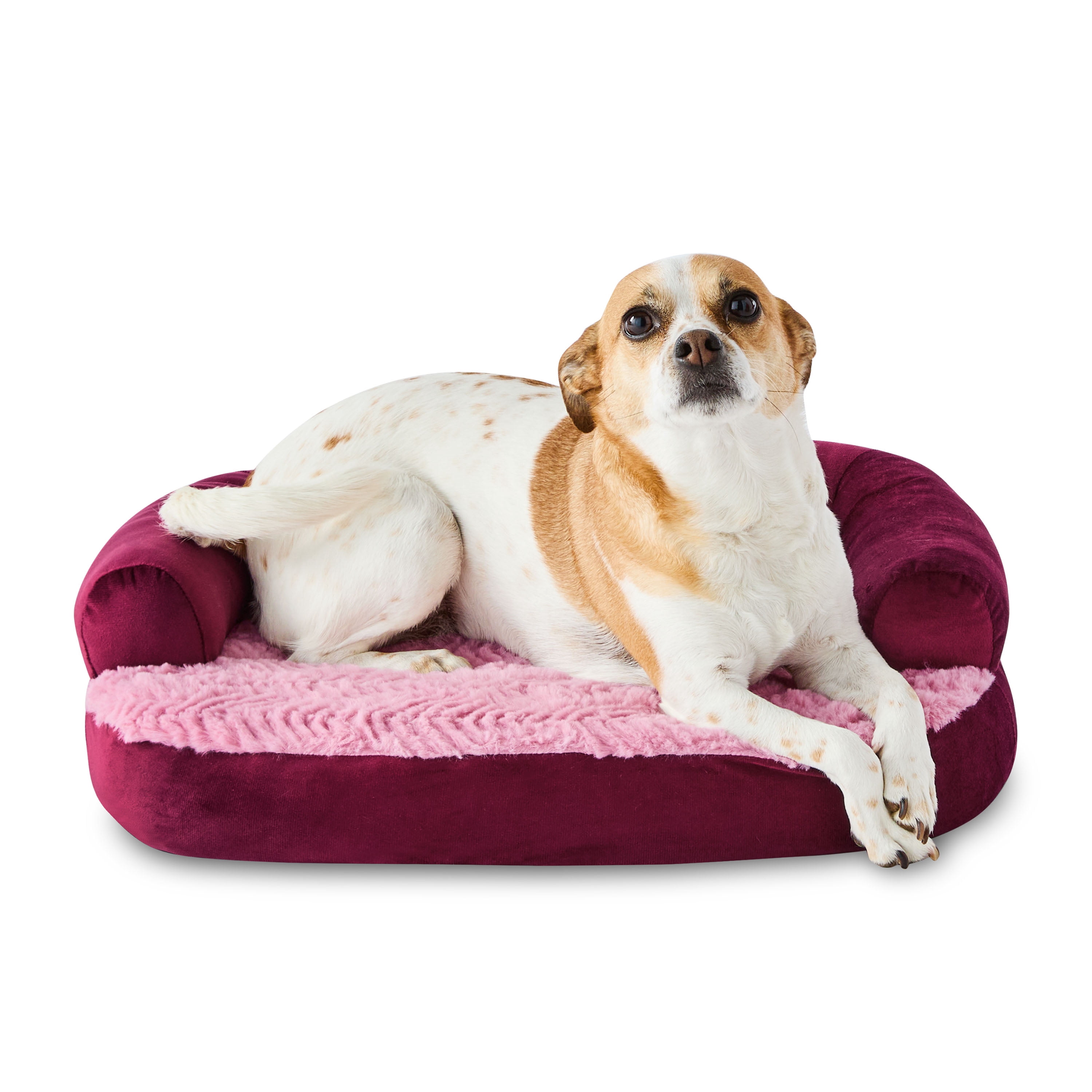 Vibrant Life Extra Small Round Corner Sofa Style Dog Bed, Red, 15" x 20"