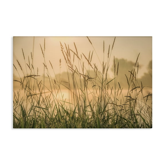 Stupell Industries Grassy Country Reeds Landscape & Nature Photography Wrapped Canvas Art Print Wall Art, 24 x 16