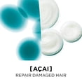 thumbnail image 4 of L'Oreal Paris Ever Repair And Defend Conditioner, 4 of 5