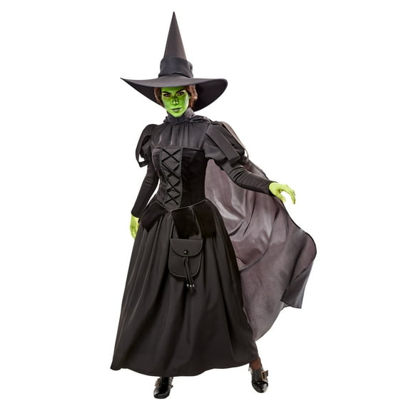 The Wizard of Oz Wicked Witch Deluxe Costume for Adults by Rubies, Women's Large