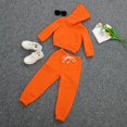 thumbnail image 6 of Baby Clothing Outfits Boys Girls Long Sleeve Solid Sweatshirt Hoodie Spring Unisex Toddler Kids Clothes Set Outfit, 6 of 6