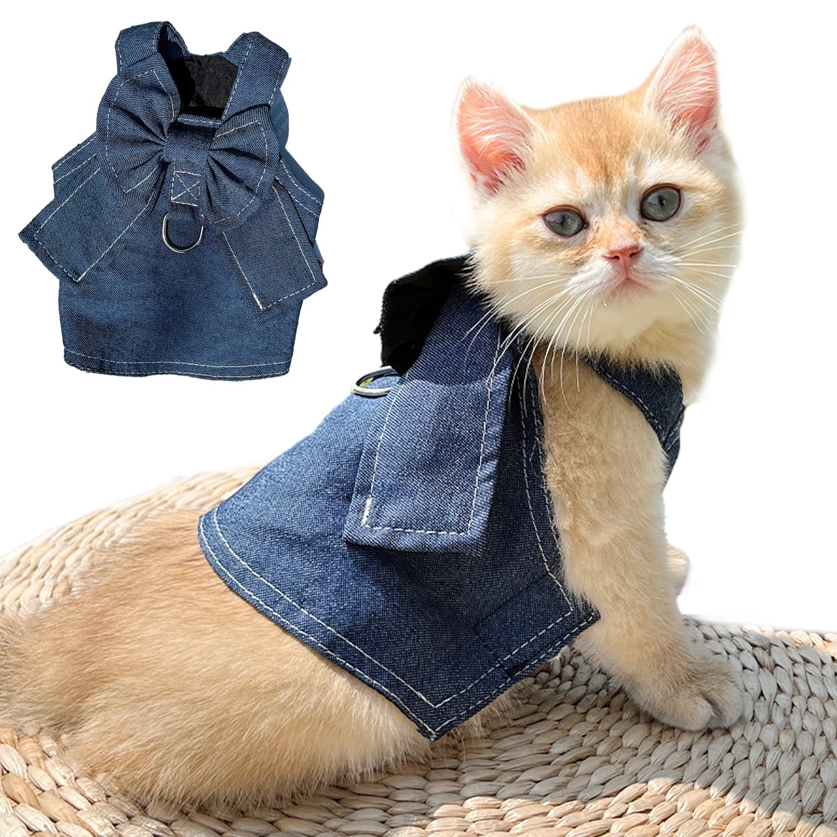 Cat in jean jacket 2025