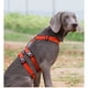 thumbnail image 5 of Arnés para mascotas TRUELOVE de nailon con doble H, personalizado, antitirones, reflectante, transpirable, ajustable, YH1803, 5 of 5