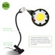 thumbnail image 5 of Lámpara De Clip Led De 3W, Luz De Mesa Ajustable En Ángulo Con Interruptor De Encendido Para Dormitorio, Oficina, Mesita De Noche, Mesita De Noche seitruly HA024424-02, 5 of 7