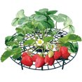 thumbnail image 3 of Marco de soporte de fresa Sunnimix Plegable 30x9,5 cm, 3 of 8