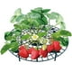thumbnail image 4 of Soporte de jardinería de pilar de trepadora shamjiam para Plantas de fresa, 4 of 8