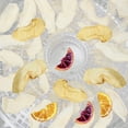 thumbnail image 2 of ORDDIART 8Pcs Food Dehydrator Accessories Silicone Round Easy to Clean for Everyday Use, 2 of 8