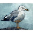 thumbnail image 3 of Parker, Jennifer Paxton 24x20 Black Modern Framed Museum Art Print Titled - Seagull Stance I, 3 of 5