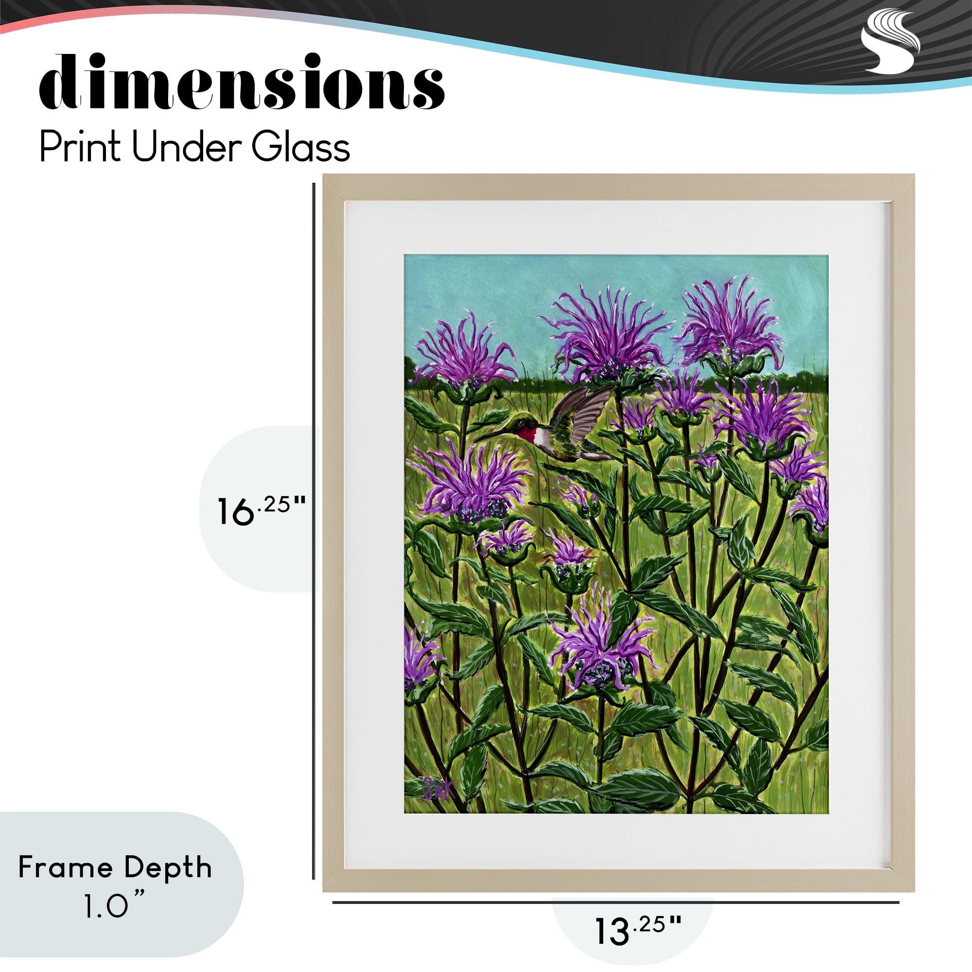 Stupell Industries Ruby Throated Hummingbird & Beebalm Birch Framed Print Under Glass, design by Sarah Waldron Kimball