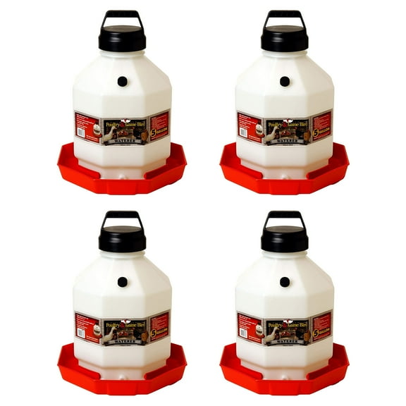 Little Giant PPF5 5 Gallon Automatic Poultry Waterer for Chickens, Red (4 Pack)