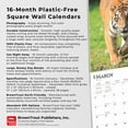 thumbnail image 3 of Tigers | 2025 12x24" (Hanging) Square Wall Calendar | BrownTrout, 3 of 9
