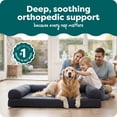 thumbnail image 3 of FurHaven Quilted Orthopedic Sofa Pet Bed, Coffee, Medium, 1 Count, 3 of 8
