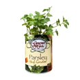 thumbnail image 1 of Gifts That Bloom PARSLEYGC Parsley Garden Grocan, 1 of 1