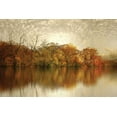 thumbnail image 2 of Jenney, Jessica 24x17 Gold Ornate Wood Framed with Double Matting Museum Art Print Titled - Floating Foliage, 2 of 4