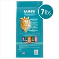 thumbnail image 6 of Iams Proactive Health Chicken And Turkey Dry Cat Food, 7 Lb Bag, 6 of 18