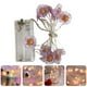 thumbnail image 3 of 1 guirnalda de luces LED navideñas de margaritas (colores aleatorios), 3 of 6