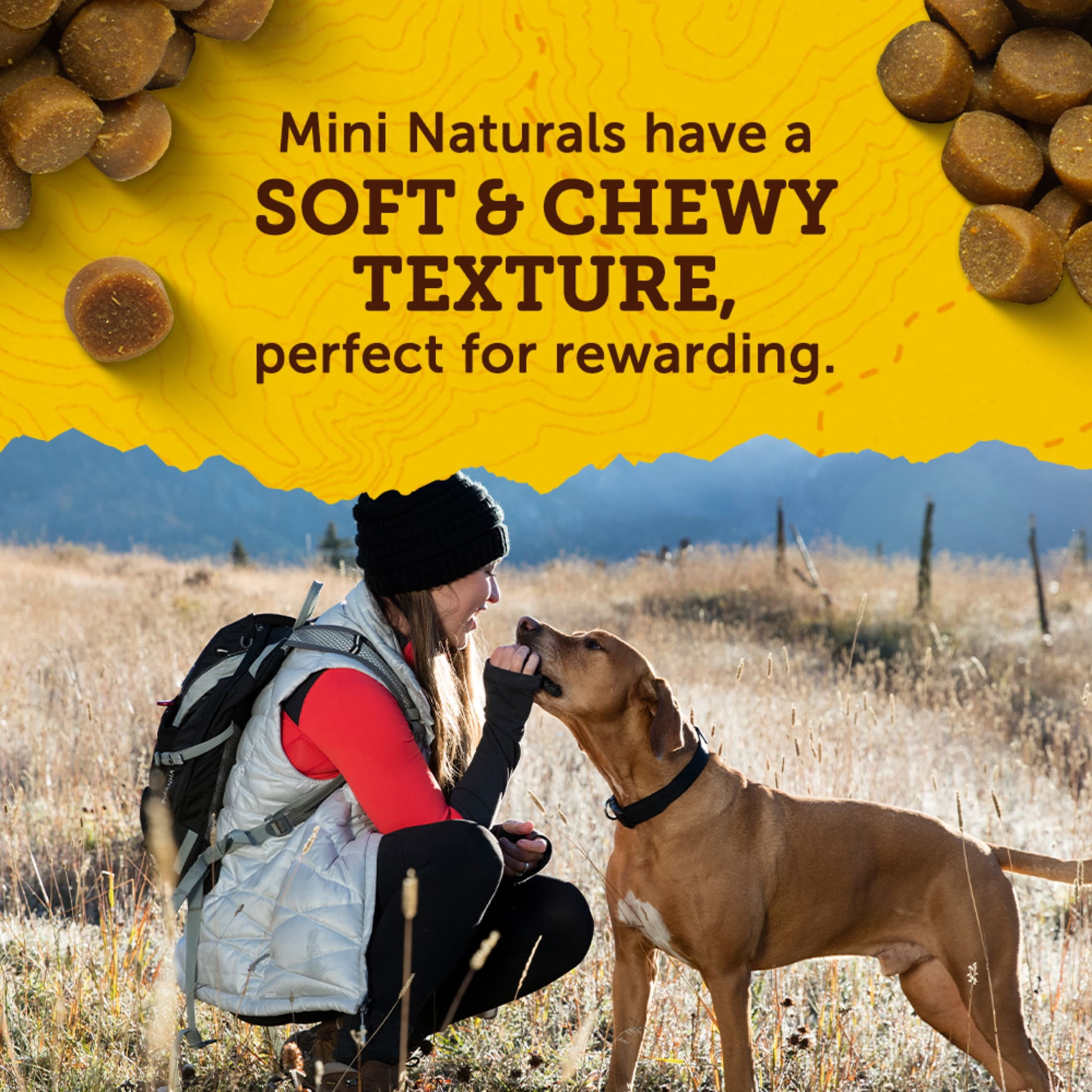 (8 pack) Zuke's Mini Naturals Soft Dog Training Treats, Real Salmon Recipe Tender Chews, 6 oz Pouch