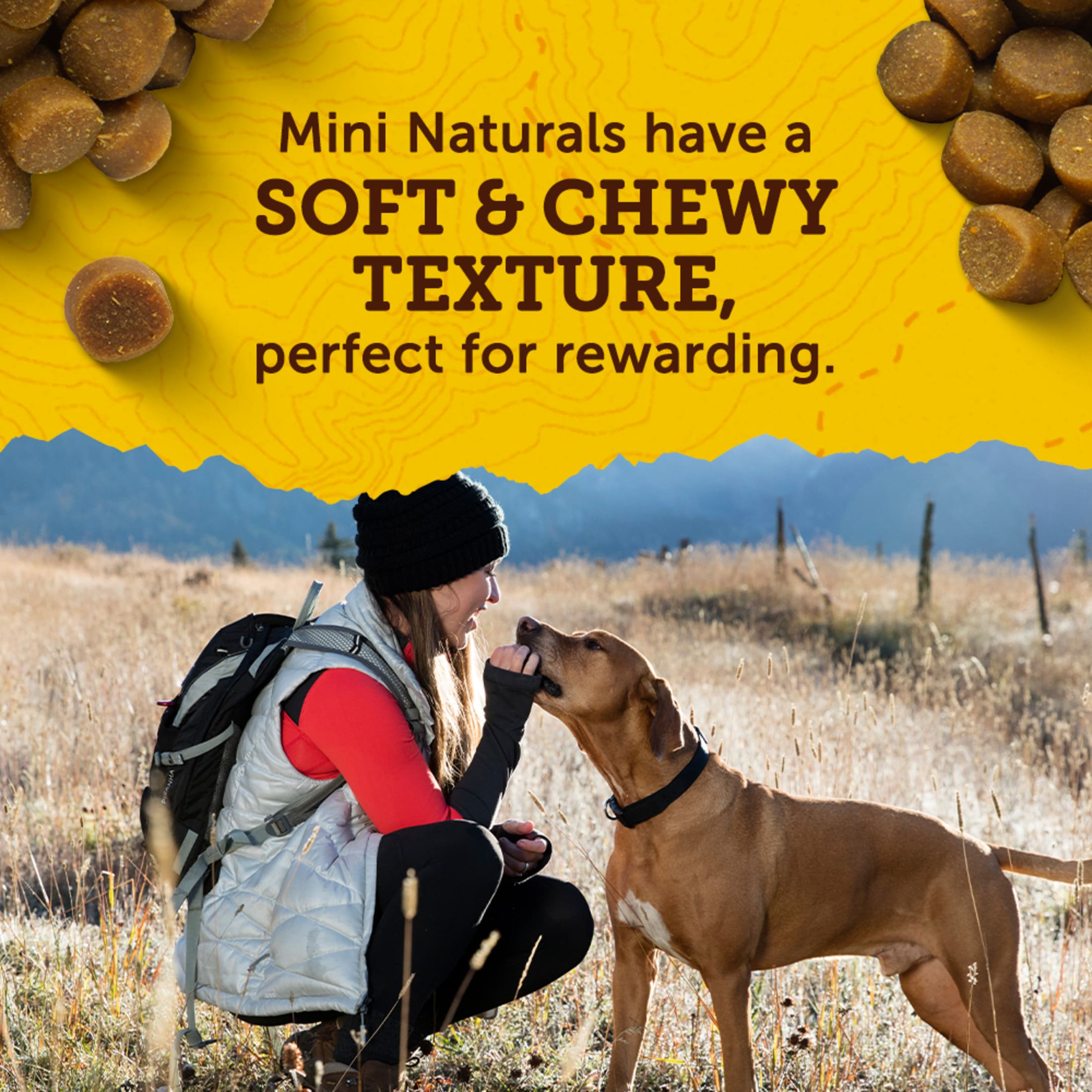 Zuke's Mini Naturals Dog Training Treats Beef (6 Pack) photo 4