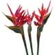 thumbnail image 2 of 32.5 pulgadas grande elegante pájaro del paraíso flor artificial para oficina en casa 3 piezas, escarlata Sincero  Hogar, 2 of 5