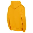 thumbnail image 3 of Youth Outerstuff  Gold Nashville Predators Back to Basics Hoodie, 3 of 3