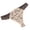 Beige, variant on Women's Stylish Floral Print Thong Comfortable Breathable Lace Splicing Underwear Low Rise Lightweight Soft Fashion Everyday Briefs Underwear Purple L