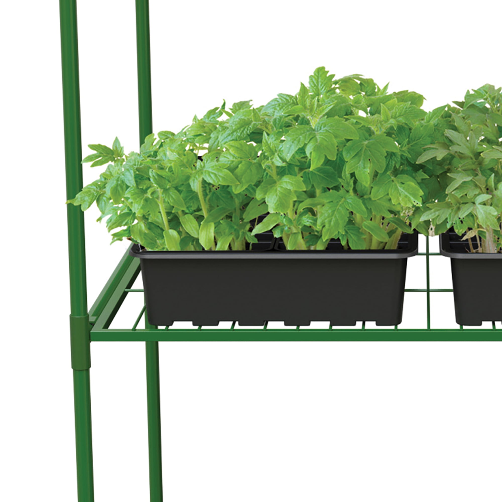 Panacea Urban Gardener Portable Greenhouse