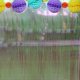thumbnail image 3 of YSNOOWE De De Aluminio Violeta Para Puerta Ideal En Cumpleaños Y Celebraciones, 3 of 8