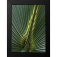 thumbnail image 2 of Head, Danny 11x14 Black Modern Framed Museum Art Print Titled - Palm Detail IV, 2 of 5