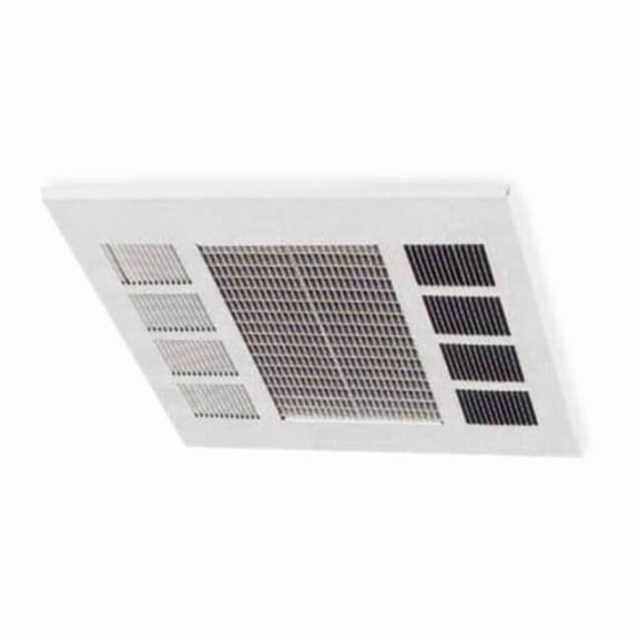 Dayton Convection Ceiling Heater,240V,17,100Btu 2YU36