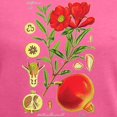 thumbnail image 3 of CafePress - Vintage Pomegranate Women's V Neck Dark T Shirt - Women's V-Neck Dark T-Shirt, 3 of 3