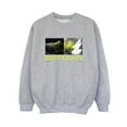 thumbnail image 1 of DC Comics Boys The Flash Batman Future To Past Sweatshirt, 1 of 3
