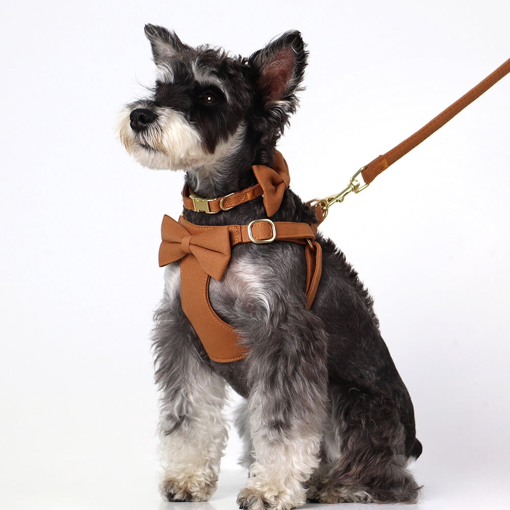 Pet Artist 4pcs Cute Bowtie Dog Harness and Collar and Leash and Poo Bag Holder Adjustable Pet Puppy Cat Vest
