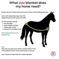 thumbnail image 3 of Reinsman Classic 420D 250g Quilted Stable Blanket, 3 of 3