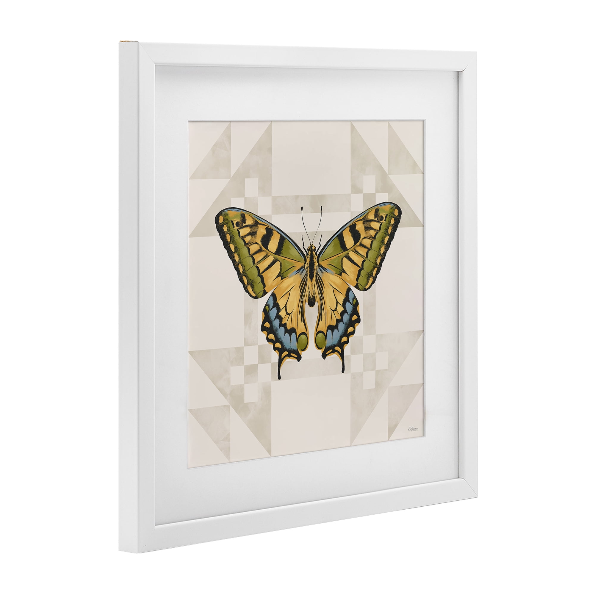 Stupell Industries Green Swallowtail Butterfly White Framed Print Under Glass, design by Cat Thurman Designs
