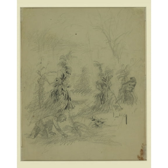 Print: Sniper Shooting Soldier From Behind A Corn Stack, circa 1860