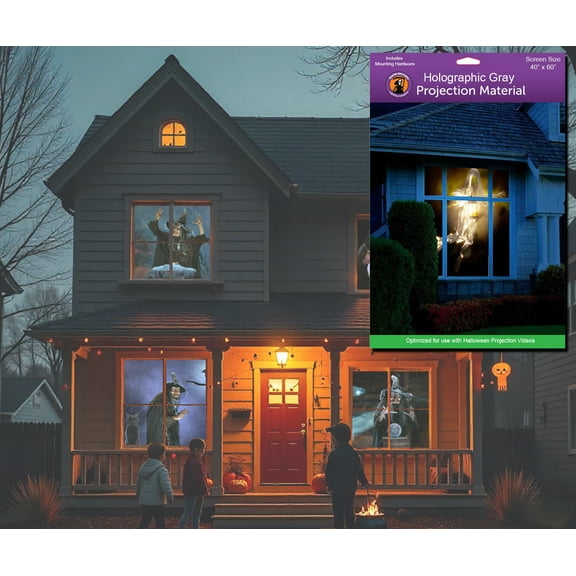 Reaper Brothers Holographic Gray 40" X 60" High Resolution Rear Projection Screen