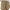Khaki, variant on BUIgtTklOP Shorts for Women Plus Size Clearance,Womens Plus Size Casual Elastic Waist Pocket Loose Solid Shorts Pants