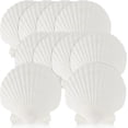 thumbnail image 2 of 1-12 PCS Natural Sea Shell Large White, 6-16cm Scallop Shells for DIY Craft, Serving Food, Baking and More, 2 of 6