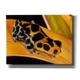 thumbnail image 1 of Epic Graffiti 'Quiet Morning' by Barbara Keith, Canvas Wall Art, 16"x12", 1 of 8