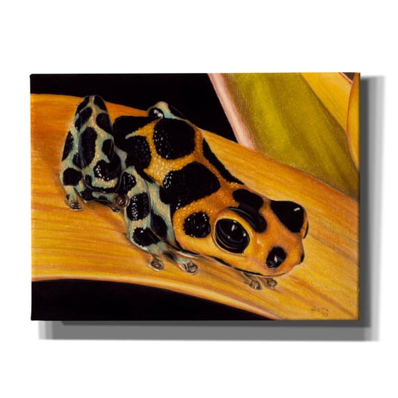 Epic Graffiti 'Quiet Morning' by Barbara Keith, Canvas Wall Art, 16"x12"