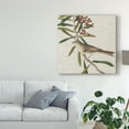 thumbnail image 3 of Trademark Fine Art 'Avian Crop VII' Canvas Art by John James Audubon, 3 of 4