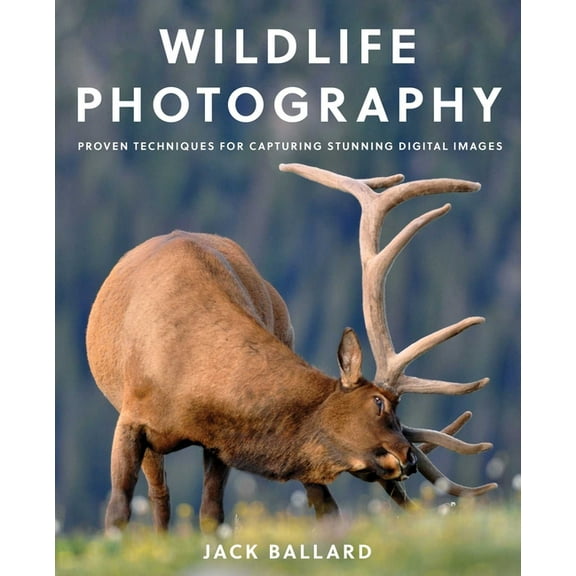Wildlife Photography: Proven Techniques for Capturing Stunning Digital Images, (Paperback)