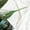 3-A, variant on 1Pcs 10 Artificial Lilies White ! Fall Decor Eguiwyn 10 Heads Artificial Fake Silk Lilies Flower Bridal Bouquet Wedding Party Decor 10 Heads Artificial Lilies White