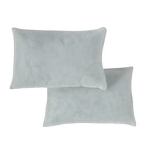 Greendale Home Fashions Premium 21"x14" Rectangle Filled Pillow Insert (2-Pack)